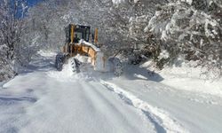 Ordu'da belediye ekiplerinin karla mücadele çalışmaları sürüyor