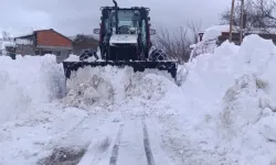 Ordu'da karla mücadele kesintisiz devam ediyor