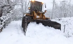 Ordu'da karla mücadele seferberliği!