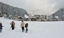 Rize'de Ayder Yaylası'nda yılbaşı yoğunluğu yaşanıyor