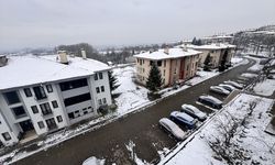 Sakarya, Bolu, Zonguldak, Düzce ve Kocaeli'de kar etkili oldu