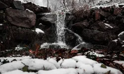 Sakarya'da kar yağışı su kaynaklarını besledi