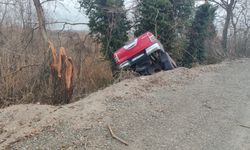 Samsun'da ağaca çarpan pikaptaki 2 kişi yaralandı