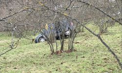 Samsun'da fındık bahçesine yuvarlanan araçtaki 1 kişi öldü, 2 kişi yaralandı