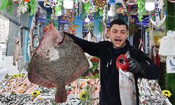 Samsun'da fırtına sonrası hamsiler tezgahlara geri döndü