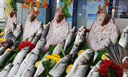 Samsun'daki tezgahlarda onlarca çeşit balık müşterilere sunuluyor