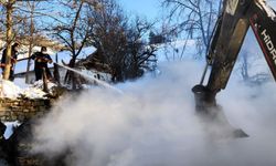 Sinop'ta ahırda çıkan yangında 9 büyükbaş hayvan telef oldu