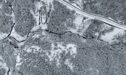 Sinop'ta ormanlarda oluşan kar güzelliği dronla görüntülendi