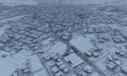 Taşköprü'de kar yağışı etkili oldu