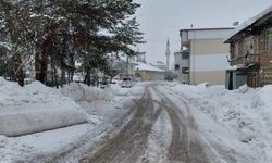 Tokat'ın ilçelerinde kar yağışı etkili oluyor