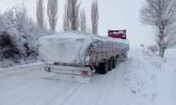 Tokat'ta kar nedeniyle yolda kalan tır ulaşımın aksamasına yol açtı