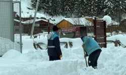 Trabzon Uzungöl Kış Festivali için ekipler seferber oldu