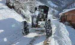 Trabzon'da karla mücadele aralıksız sürüyor