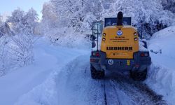 Trabzon'da karla mücadele çalışmaları sürüyor