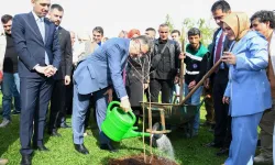 Trabzon'da üretime ve yaşama değer katan hizmetler