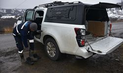 Trabzon'daki fırtınada elektrik kabloları kopunca alternatif enerji hatları devreye alındı