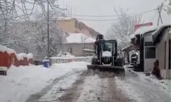 Tunceli, son 65 yılın en yoğun kar yağışıyla mücadele ediyor