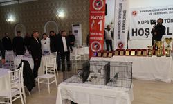Türkiye'deki güvercin severler Samsun'da bir araya geldi