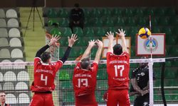 Voleybol: SMS Grup Efeler Ligi