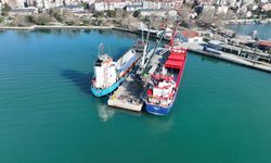 BOZHANE LİMANI FİRMALARA NEFES OLUYOR