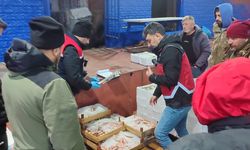 BALIK DENETİMİ, EL KONULDU, 2 İŞLETMEYE CEZA