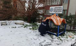 SOKAK HAYVANLARI UNUTULMADI