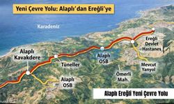 EREĞLİ-ALAPLI ÇEVRE YOLU PROJESİ