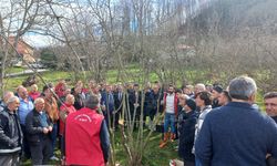 19 Mayıs ilçesinde fındık budama eğitimi verildi