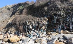 ATIKLAR SAHİLE VURDU...