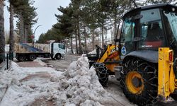 Başçiftlik ilçe merkezinde kar temizliği çalışmaları devam ediyor