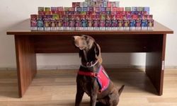 Bolu'da kaçak sigara operasyonunda 1 zanlı yakalandı