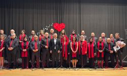 Boyabat'ta 14 Şubat konseri