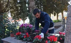 Bursa Gemlik'te şehitliklere titiz bakım