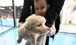 Çocuklar 'can dostlar' sayesinde dijital bağımlılıktan uzaklaşıyor