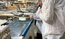 Çorum'da ramazan öncesi gıda denetimleri sürüyor