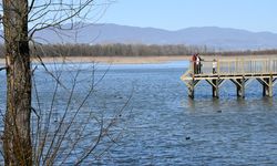 Efteni Gölü Kuş Cenneti hafta sonu doğaseverleri ağırladı