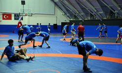 Güreş milli takımları, hazırlıklarını Avrupa şampiyonası ve olimpiyat hedefiyle sürdürüyor