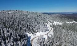Ilgaz Dağı'nda kar yağışının ardından beyaza bürünen ormanlar dronla görüntülendi