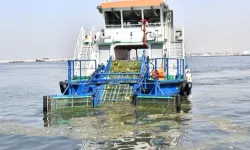 İzmir körfezinde kirlilik alarmı! İzmir Büyükşehir seyirci mi kalıyor?