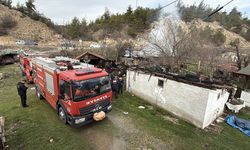 Karabük'te ahırda çıkan yangında 2 köpek öldü