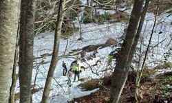 Kastamonu'da devrilen otomobildeki 2 kişi yaralandı