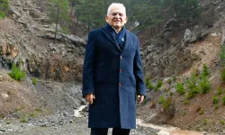 Kayseri Büyükşehir'den 'arı' projesi