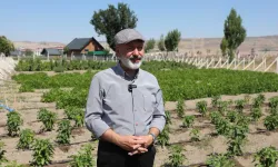 Kayseri Kocasinan'dan çiftçilere büyük destek
