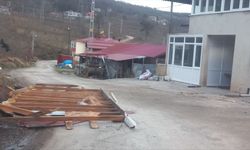 Ordu'da fırtına nedeniyle 11 evin çatısı uçtu, ağaçlar devrildi