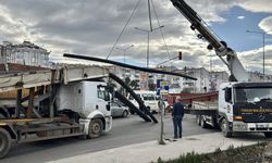 Ordu'da kamyonun dorsesindeki demirler düşerek otomobile saplandı