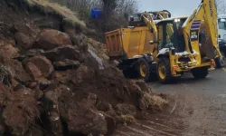 Ordu'da kar suları heyelanlara yol açtı