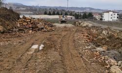 Ordu'da pestil ve köme üretim merkezi açılacak