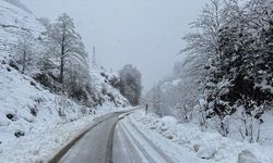 Orta ve Doğu Karadeniz'de 407 yerleşim yerine ulaşım sağlanamıyor