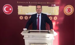 Şadan Şimşek'ten Meriç Nehri uyarısı!