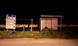 Samsun'da devrilen motosikletin sürücüsü yaralandı